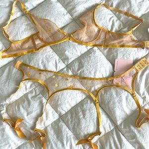 AP Zadi stars bra and suspender